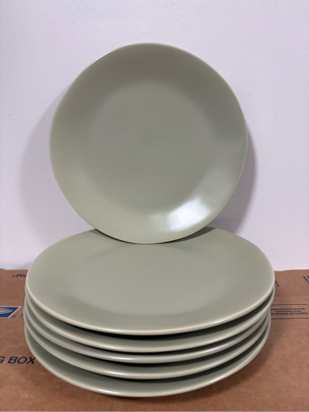 (Set of 6) Olive Green spring salad plates - Threshold